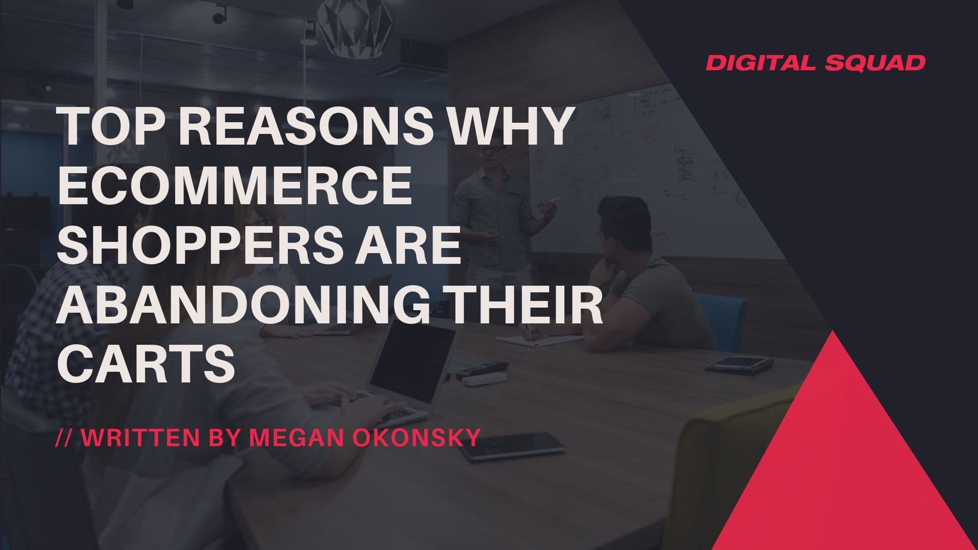 Ecommerce shoppers